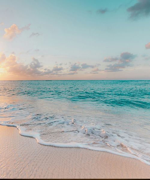 Beach Experience